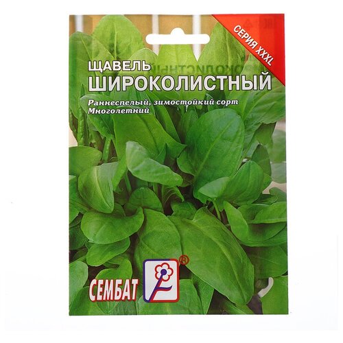 ���� ������ ���L ������ 