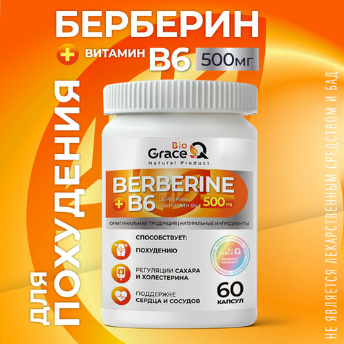 ���� �������� ��� ��������� 500 ��, 60 ������, ������ �� 725 ���