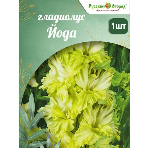 ���� ��������� ������� ������ 