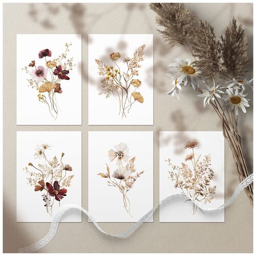       .  . 5 , 7,510,5 .     , .   8 .,   260 