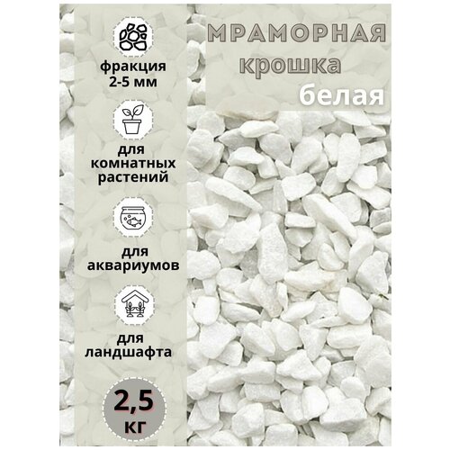 ���� ��������� ������ ����� ������� 2-5�� (2,5 ��) ����� ����������� ��� ��������� � ������� ��������, ������ �� 715 ���