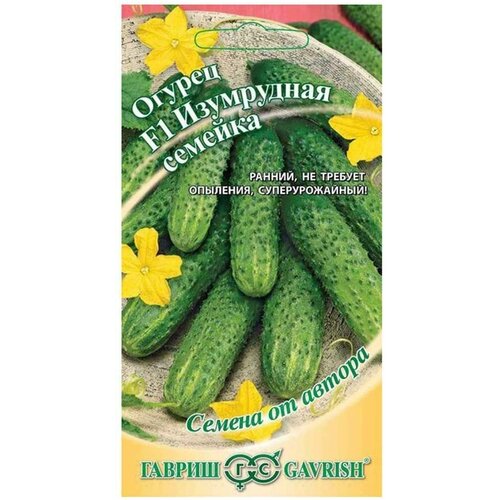 ���� ������ ������ ������ 