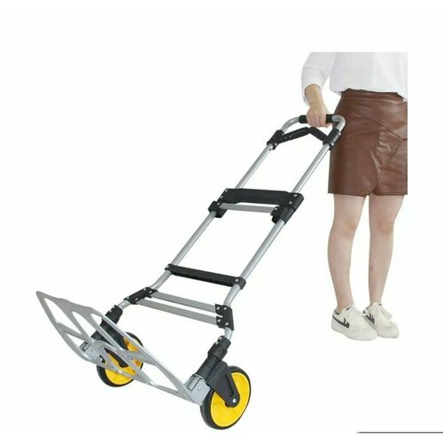 ���� ������� ������������ �������� 150 ��., ������ �� 4500 ���