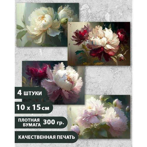 ���� ����� �������� 