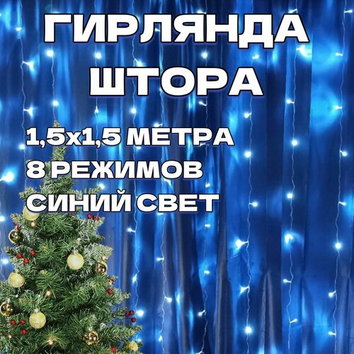 ���� �������� ����� 