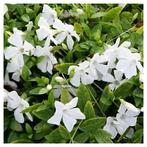 ���� ������ �������� ����� �������� ������� 0,05 � (1 ��������), ������ �� 480 ���