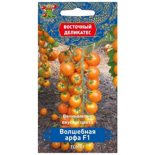 ���� ������ ����� ��������� ��������� ����� ��������� ���� F1 10 ��., ������ �� 67 ���