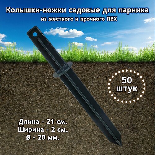 ���� �������-����� ������� ����������� 