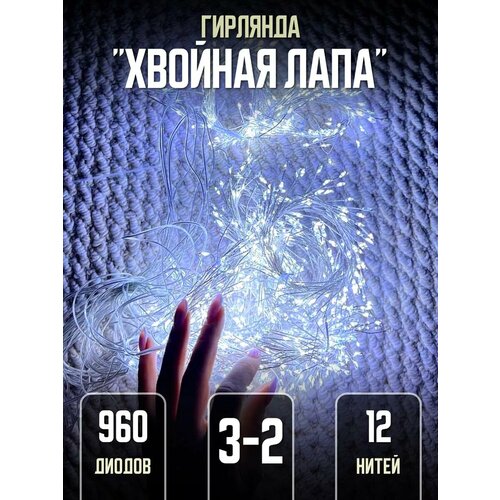 ���� ��������-����� 