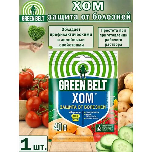 ���� �������� ��� ������ Green Belt 