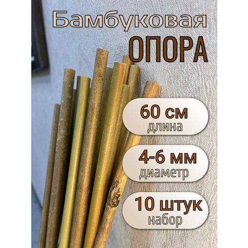 ���� ����� ���������� ��� �������� � ������ 60 ��, 4/6 ��, 10��. ������� �������., ������ �� 390 ���