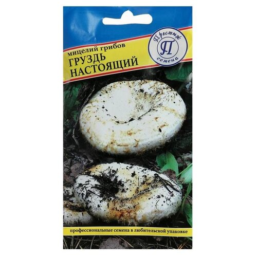 ���� ������� ������ ������ ��������� 50 ��, ������ �� 227 ���