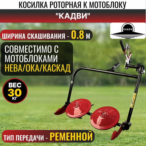 ���� ����/���/������, ������ �� 25488 ���