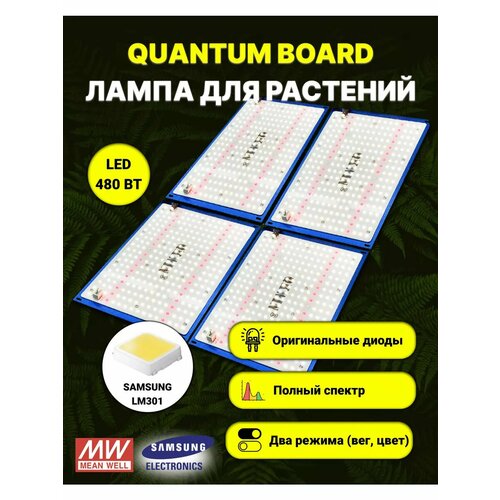    , 480 , LM301b,  ,   33000 