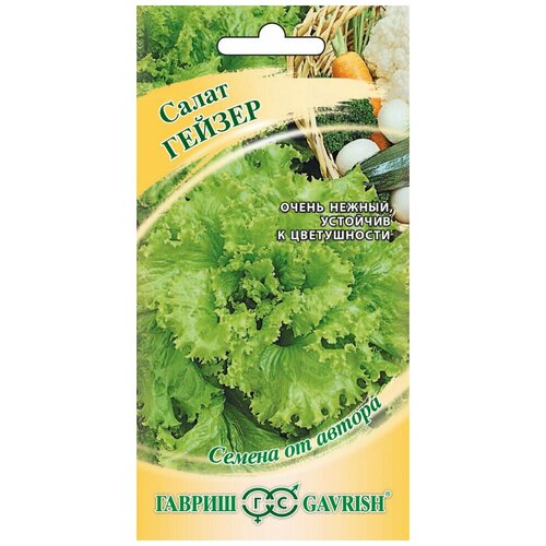 ���� ������ ����� �������� ������, 0,5�, ������, ������ �� ������, 10 ��������, ������ �� 1175 ���