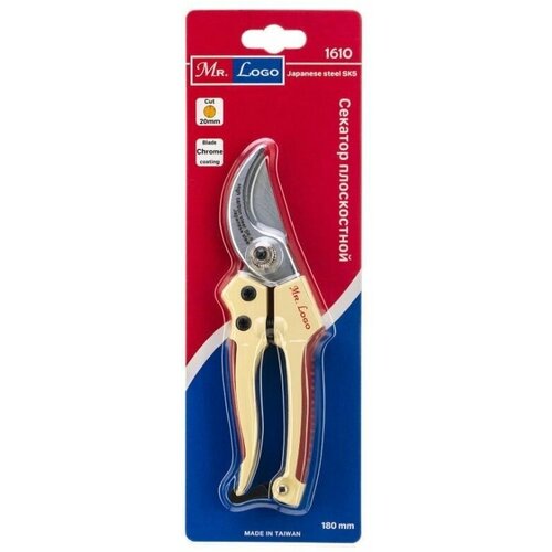 ���� ������� ������� ����������� Mr.Logo 