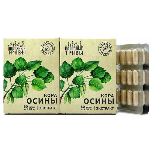 ���� ���� ����� ��������, ����� 