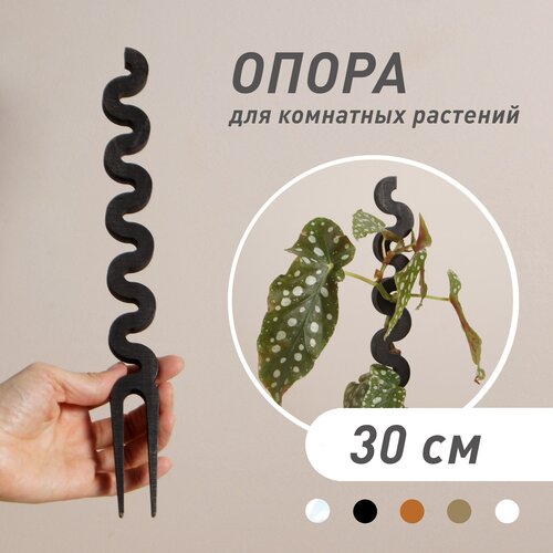 ���� ����� ��� �������� 