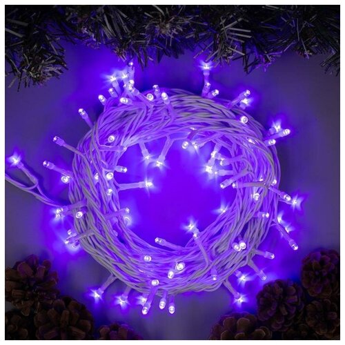 ���� �������� 