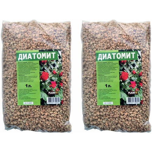 ���� ��������� �������� 