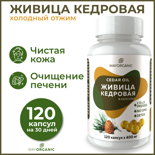 ���� ������ �������� � ��������, ������ ���������, ������, ������ �� 450 ���