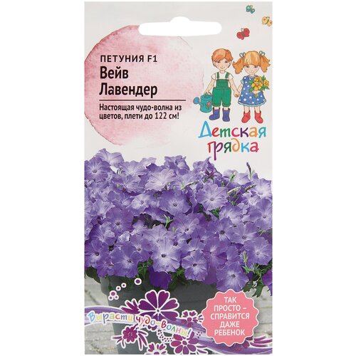 ���� ������ ������� ���� �������� F1 5 �� ������� ������, ������� ����������� ��������������� �������������� ���������, ������ �� 539 ���