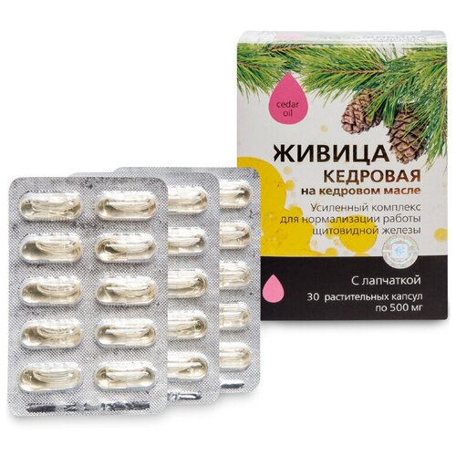 ���� ������� ������-��� ������ �������� �� �������� ����� � ���������, 30 ��., ������ �� 585 ���