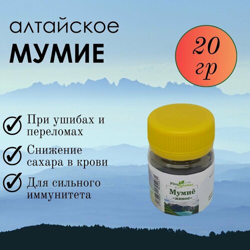 ���� ���� ��������� ����� ����-�������� ��� �������� � ������ ������������, 20 ��, ������ �� 628 ���