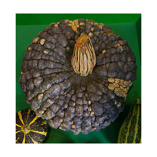 ���� ������ ����� ������� ������� (�� 10 ��) 2 ��., ������ �� 90 ���