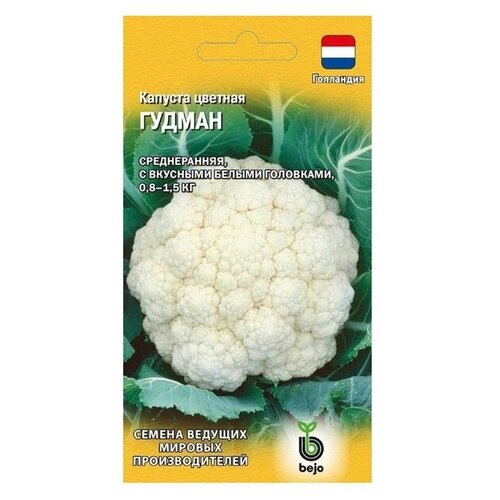    Bejo    F1 10 .,   81 