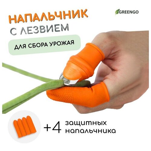 ���� ���������� � ������� + 4 �������� �����������, ��� ����� ������, ������ �� 187 ���