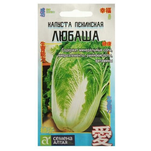 ���� ������ ������� ��������� 