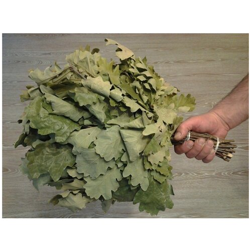 ���� ����� ������� ������� ��������, ������ �� 520 ���