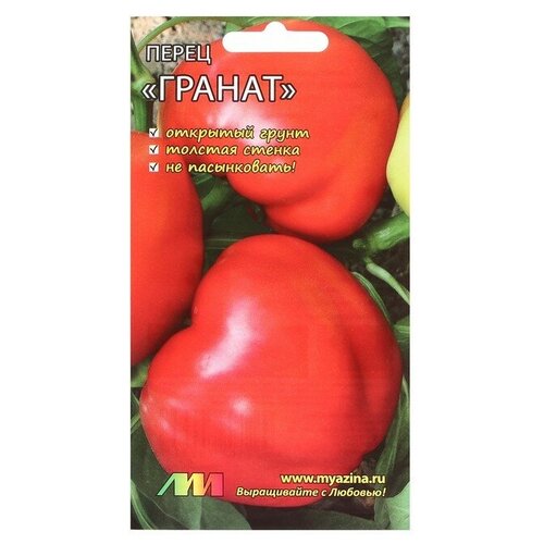 ���� ������ ����� ������� 