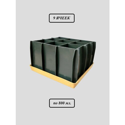 ���� ���� ��� �������, ������ �� 480 ���