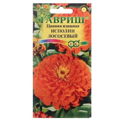 ���� ������ ������ ������ ������ 