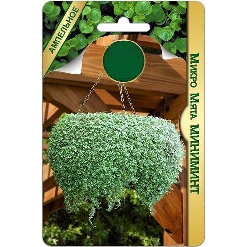 ���� ����������� ���� 5 ������-�����,12-15 �����. ����������� �������, ������� ���������� � ���������������. ���������� ���� ������� ������� ��� �������, ������ �� 515 ���