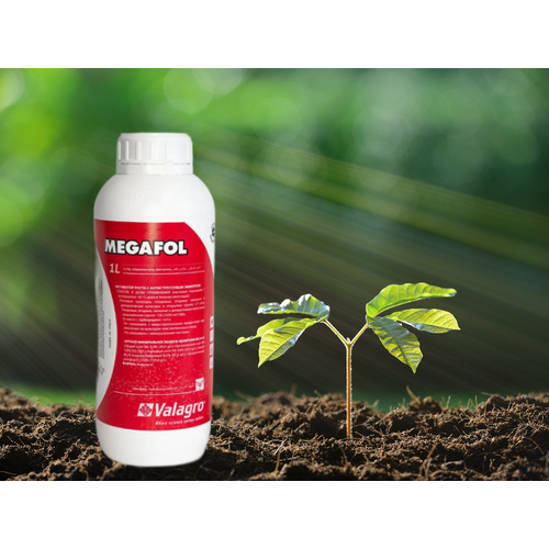 ���� ��������� ������� (Megafol) Valagro �������������� ������������� ����� � �������������� �������� 100 �� (������ �������), ������ �� 550 ���