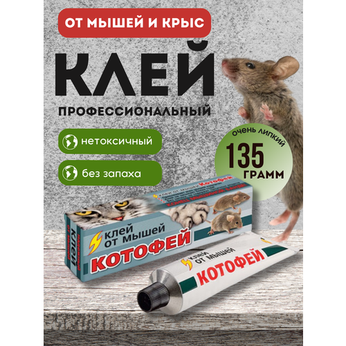 ���� ���� �� ����� � ���� �������, �������� �� �����, ��������� �������� �� �������� 135 �, ������ �� 350 ���