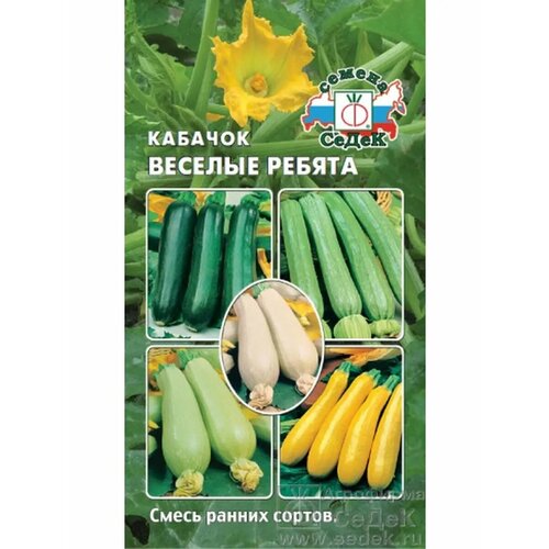 ���� ������� 