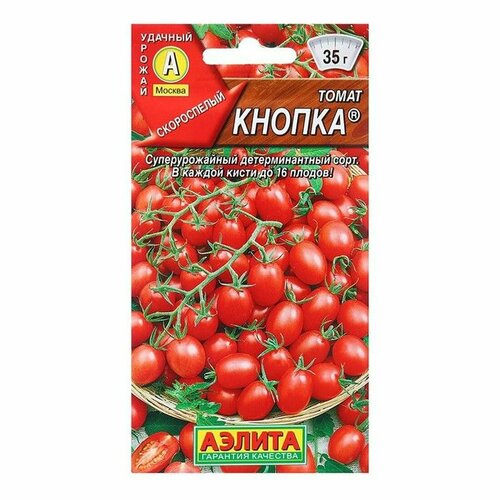 ���� ������ ����� ������ (�����������), �����������, (������) 20��, ������ �� 33 ���