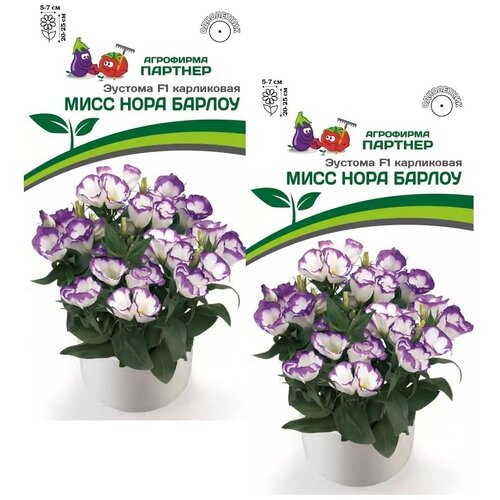 ���� ������ ������� ���������� ���� ���� ������ F1 /��������� �������/ 2 �������� �� 5 �����, ������ �� 520 ���