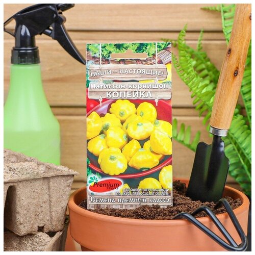 ���� ��������-�������� ������� (7 �����), 2 ������, ������ �� 249 ���