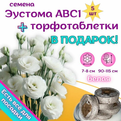 ���� ������ ������� ������������ ����������� �����, ��������� ��������� + �������� �������� Jiffy � �������, 5��, ������ �� 369 ���