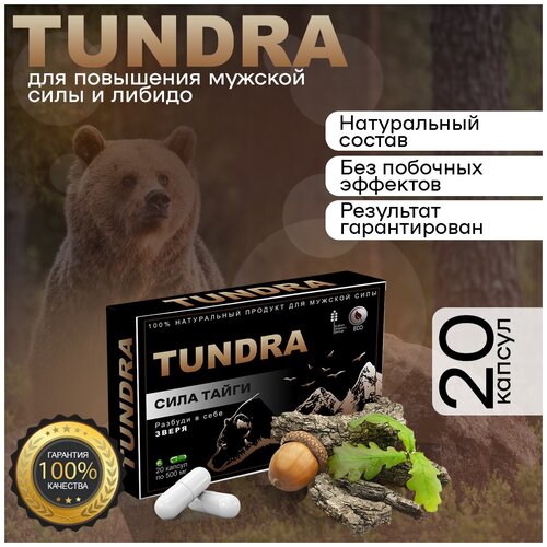 ���� ������ ������� ����������� ������, ������ �� 490 ���