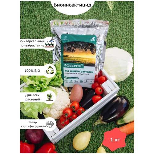 ���� �������, ������ �� ��������� ���������� , 1 ��, ������ �� 1220 ���