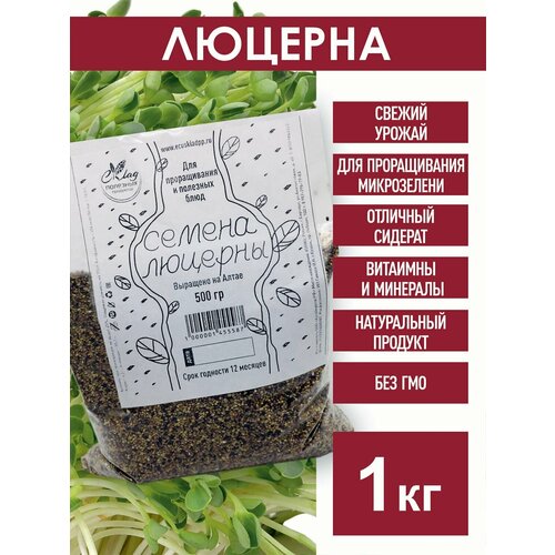 ���� ������� ������, 1 ��, ���� ���� 87, ��� �����������, ���������, ������ �������, ������� ��� ������, ������ �� 899 ���