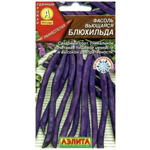 ���� ������. ������ �������� 