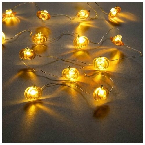 ���� �������� 