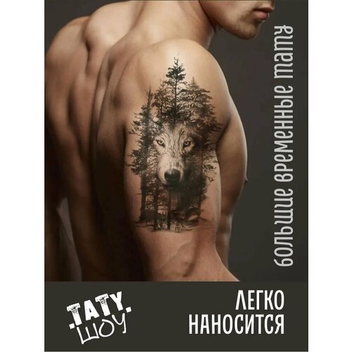 ���� ���� �������� ����, ������ �� 150 ���